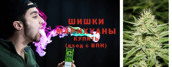 индика Верхний Тагил